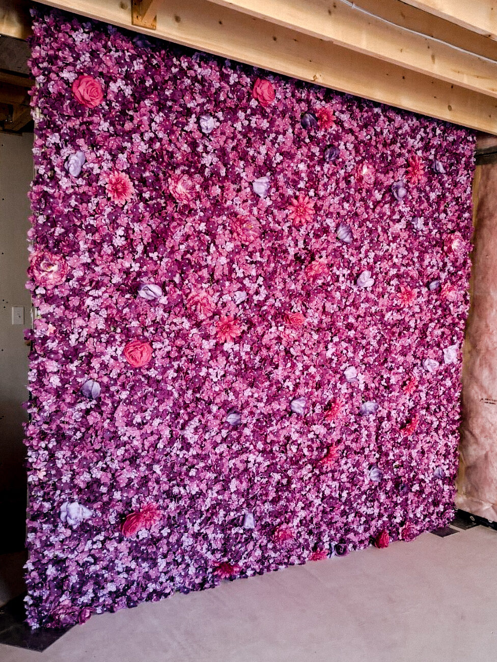 Pink rose flower wall in North York