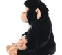 rent-baby-chimp-monkey