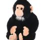 baby-chimp-monkey-rental